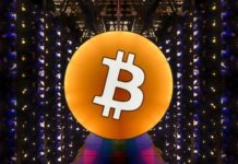 “El halving de Bitcoin hará subir todo el mercado de las criptomonedas”, afirma CEO de Bitcoin Suisse