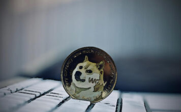 caída de Doge Coin